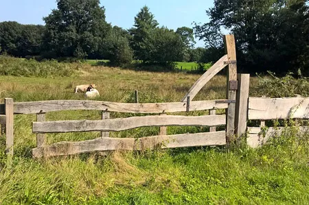 overijssel_Provincies